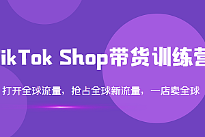 TikTokShop带货训练营第14期一店卖全球