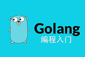 Go语言全栈开发基础+Golang图像存储业务+框架实操+Go的微服务