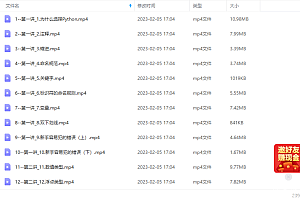 抖音有霸夫Python自动化办公和游戏课程
